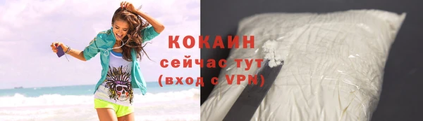 индика Наволоки