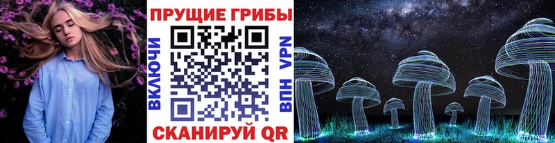Галлюциногенные грибы MAGIC MUSHROOMS  дарк нет наркотические препараты  Иланский 